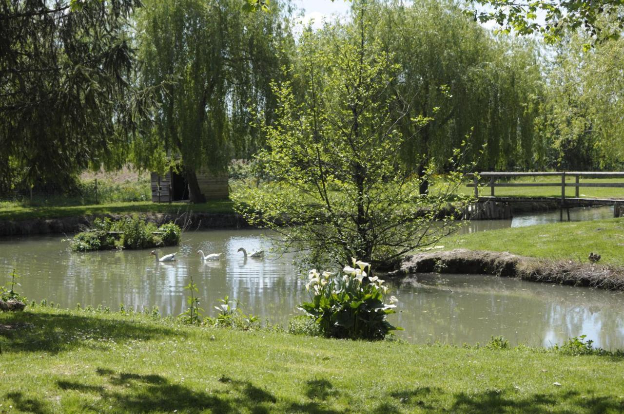 Domaine Ramonjavel, Glamping & Alpaca'S Fongrave Exterior foto