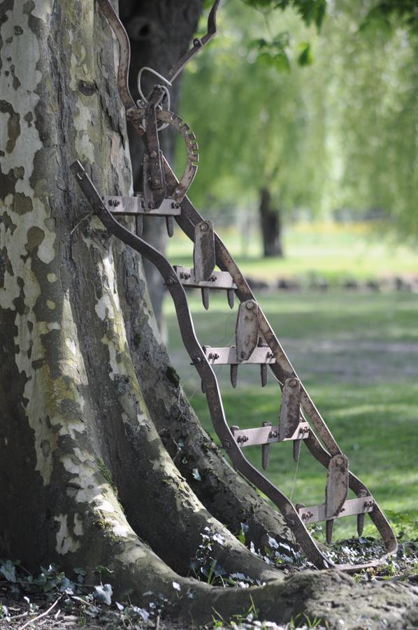Domaine Ramonjavel, Glamping & Alpaca'S Fongrave Exterior foto
