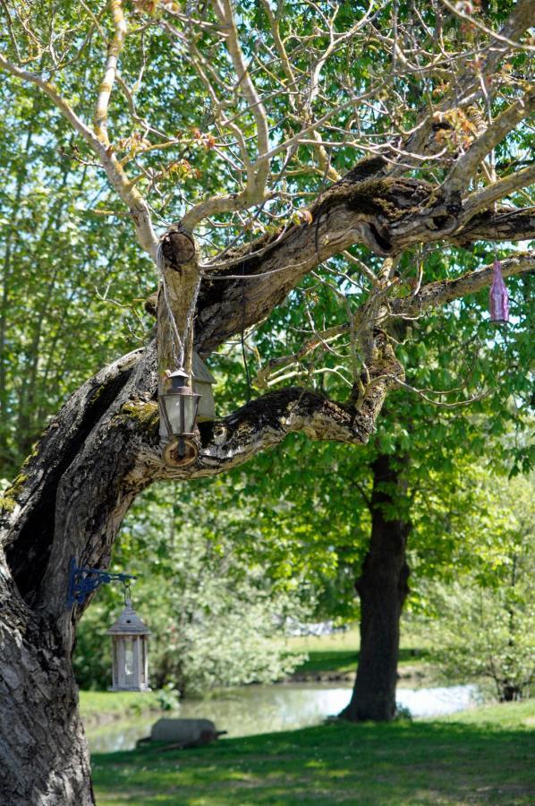 Domaine Ramonjavel, Glamping & Alpaca'S Fongrave Exterior foto