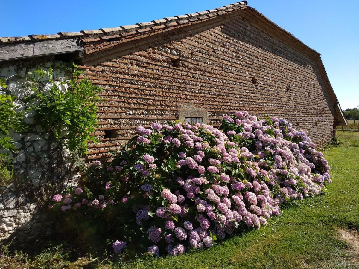 Domaine Ramonjavel, Glamping & Alpaca'S Fongrave Exterior foto