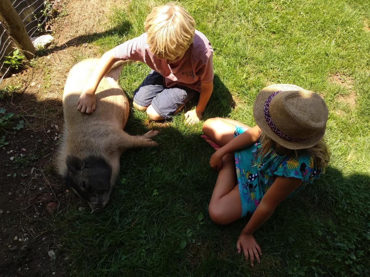 Domaine Ramonjavel, Glamping & Alpaca'S Fongrave Exterior foto