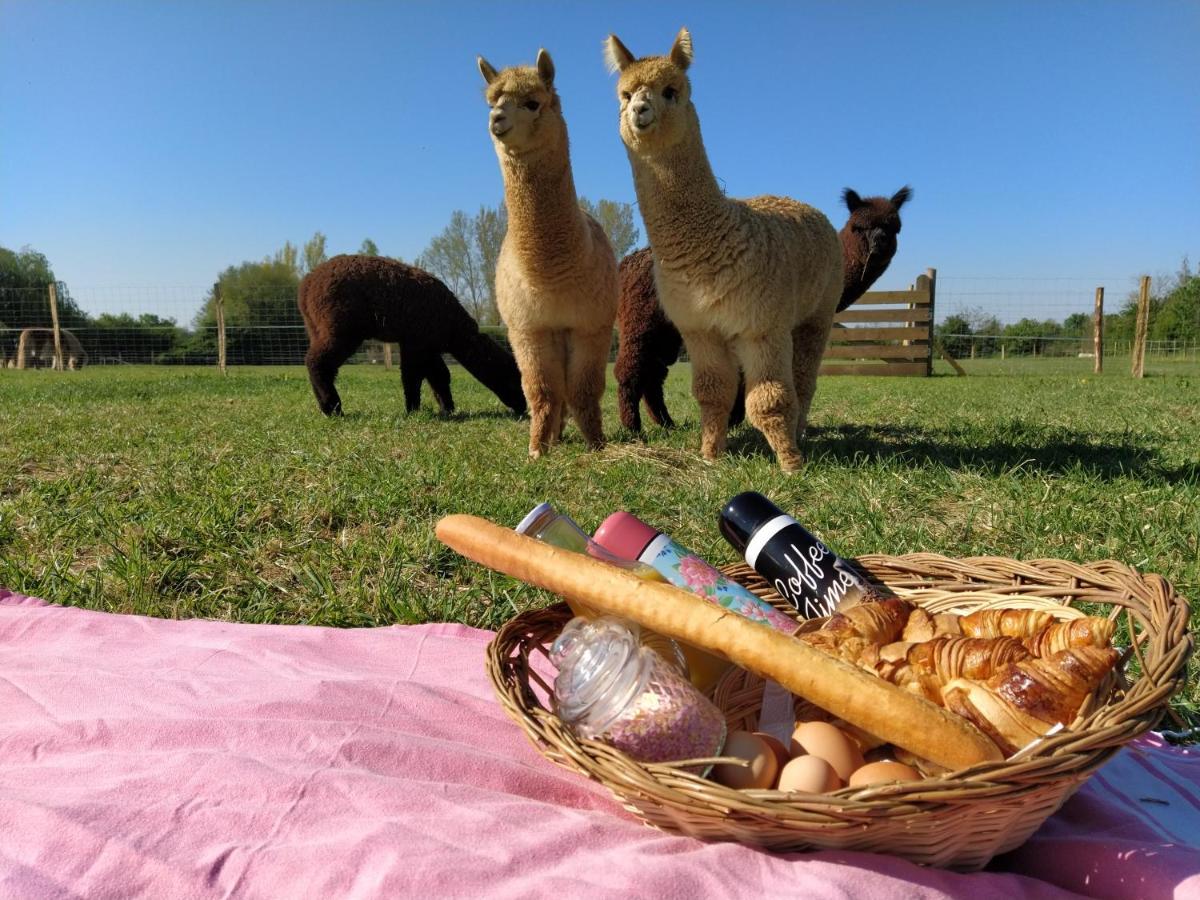 Domaine Ramonjavel, Glamping & Alpaca'S Fongrave Exterior foto