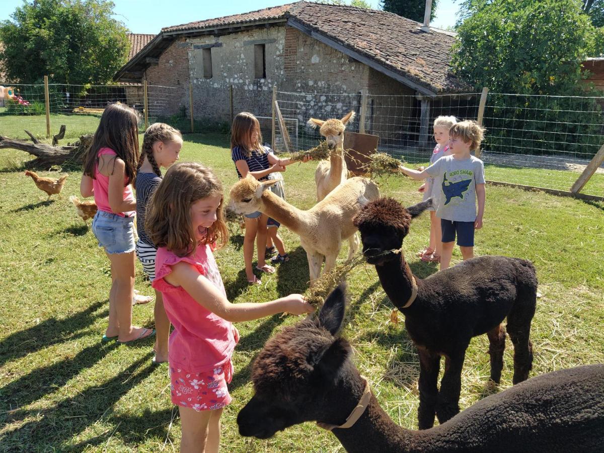 Domaine Ramonjavel, Glamping & Alpaca'S Fongrave Exterior foto