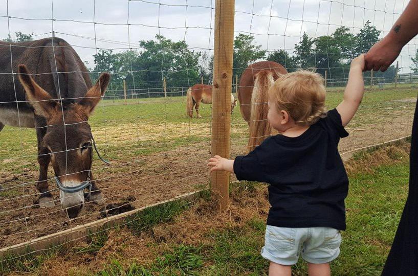 Domaine Ramonjavel, Glamping & Alpaca'S Fongrave Exterior foto